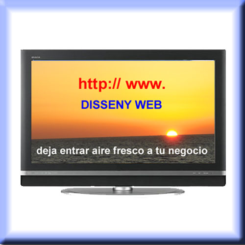 Disseny Paginas Web